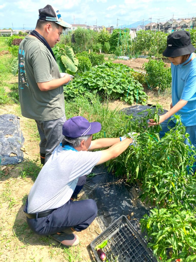 利用者個性引き出す農作業/健康・経験・労働を柱に(2025/09/08)