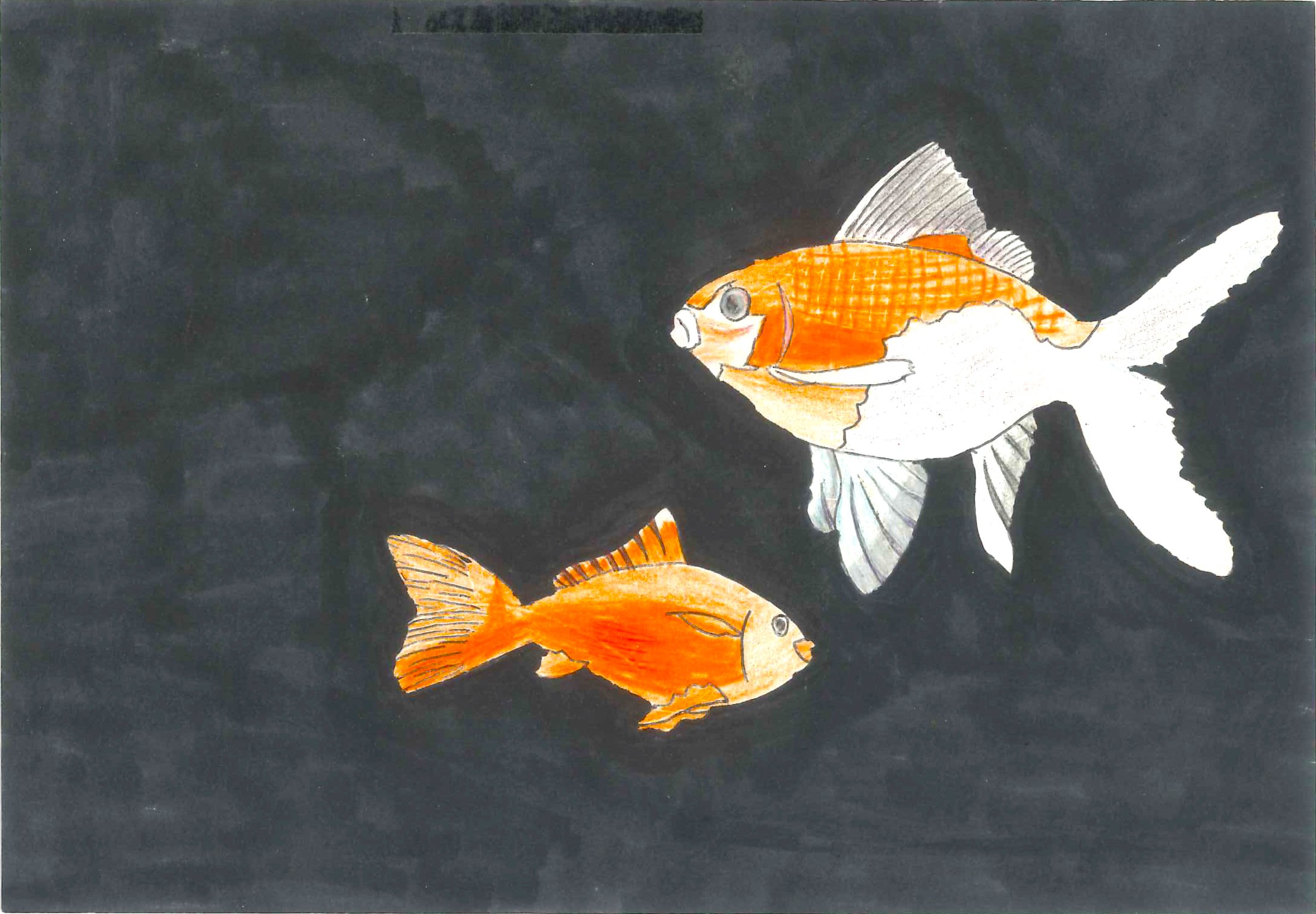 「金魚」