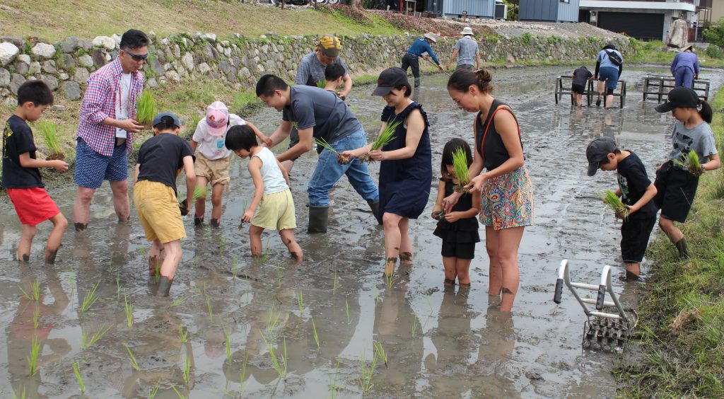 自然体験 親子で気軽に大胆に　棚田で田植え、川の生物観察…(2026/06/29)